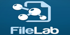 FileLab Editor