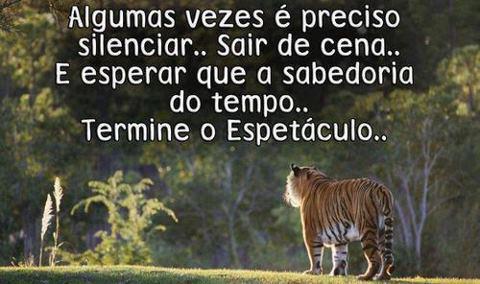 FRASE SOBRE SILENCIO frase sobre silencio: